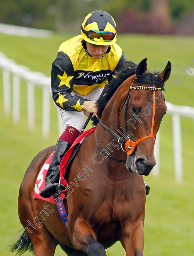 Highland-Spring-0001 
 HIGHLAND SPRING (Cieren Fallon)
Sandown 27 Jul 2023 - Pic Steven Cargill / Racingfotos.com