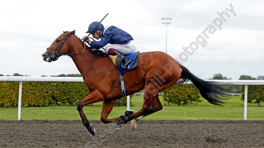 Gallant-0001 
 GALLANT (Oisin Murphy) wins The Polytrack British Stallion Studs EBF Novice Stakes
Kempton 2 Oct 2024 - Pic Steven Cargill / Racingfotos.com