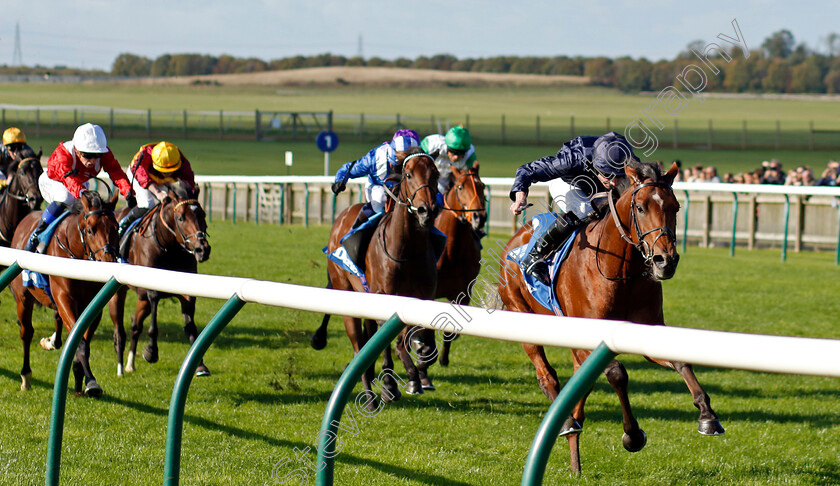 City-Of-Troy-0006 
 CITY OF TROY (Ryan Moore) wins The Dewhurst Stakes
Newmarket 14 Oct 2023 - Pic Steven Cargill / Racingfotos.com