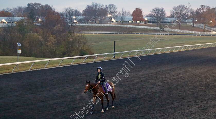 Highfield-Princess-0003 
 HIGHFIELD PRINCESS training for the Breeders' Cup Turf Sprint
Keeneland USA 2 Nov 2022 - Pic Steven Cargill / Racingfotos.com