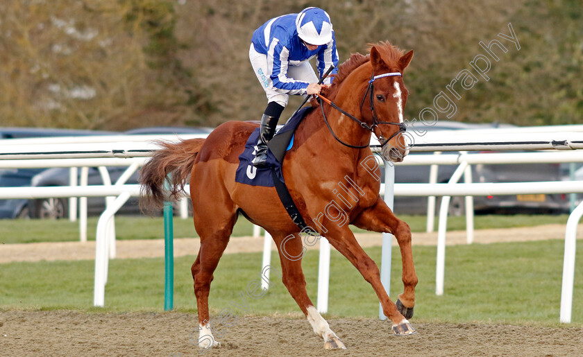 Fantastic-Fox-0007 
 FANTASTIC FOX (Aidan Keeley) winner of The Bet £10 Get £40 At Betmgm Handicap
Lingfield 20 Jan 2024 - Pic Steven Cargill / Racingfotos.com