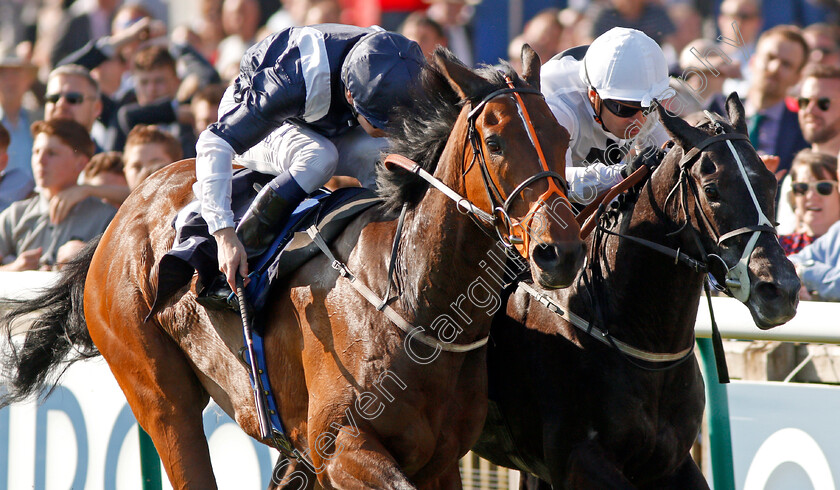 He s-Amazing-0008 
 HE'S AMAZING (left, Oisin Murphy) beats MIDNIGHT WILDE (right) in The Qipco Supporting British Racing Handicap Newmarket 6 May 2018 - Pic Steven Cargill / Racingfotos.com