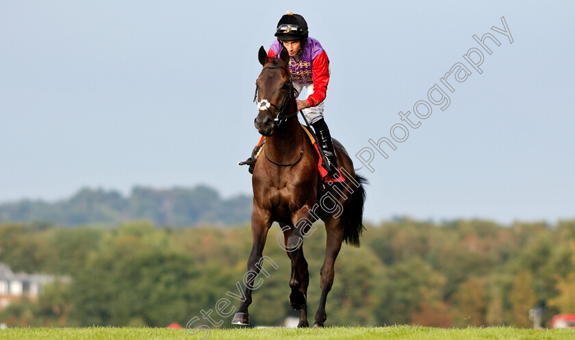 Calculation-0001 
 CALCULATION (Ryan Moore), by Dubawi and the first foal of Estimate, before finishing 3rd on his racecourse debut
Sandown 9 Aug 2018 - Pic Steven Cargill / Racingfotos.com