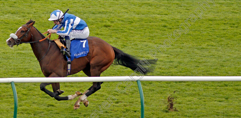 Beat-The-Bank-0005 
 BEAT THE BANK (Oisin Murphy) wins The Shadwell Joel Stakes Newmarket 29 Sep 2017 - Pic Steven Cargill / Racingfotos.com