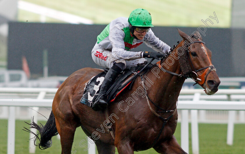 Perfect-Candidate-0006 
 PERFECT CANDIDATE (Paddy Brennan) wins The BetVictor.com Handicap Chase Cheltenham 18 Nov 2017 - Pic Steven Cargill / Racingfotos.com