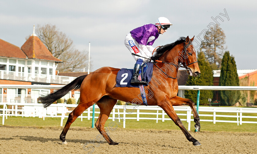 Solid-Man-0001 
 SOLID MAN (Fran Berry) Lingfield 23 Feb 2018 - Pic Steven Cargill / Racingfotos.com