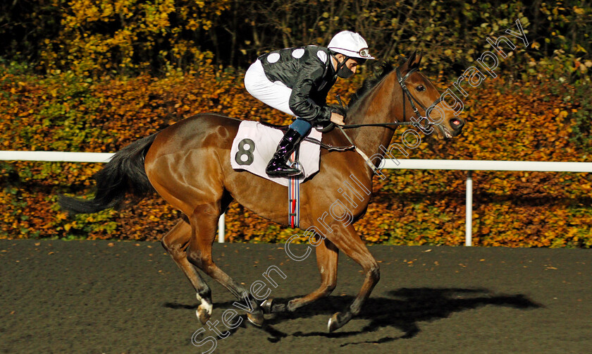 Elmetto-0001 
 ELMETTO (William Buick)
Kempton 11 Nov 2020 - Pic Steven Cargill / Racingfotos.com