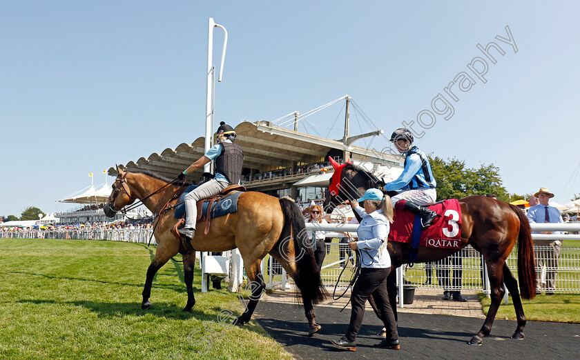 Asfoora-0005 
 ASFOORA
Goodwood 2 Aug 2024 - Pic Steven Cargill / Racingfotos.com