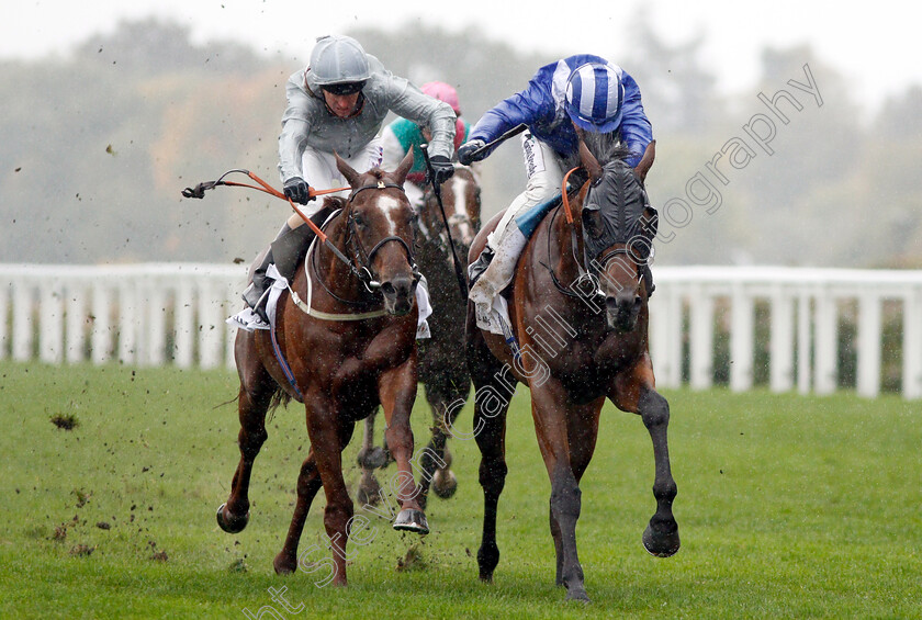 Laraaib-0005 
 LARAAIB (right, Jim Crowley) beats COMMUNIQUE (left) in The Stella Artois Cumberland Lodge Stakes
Ascot 6 Oct 2018 - Pic Steven Cargill / Racingfotos.com