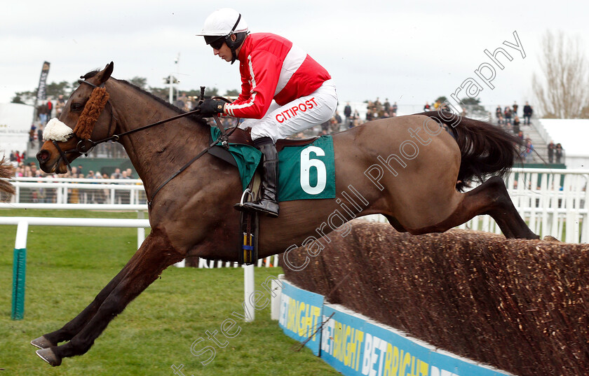 The-Druids-Nephew-0002 
 THE DRUIDS NEPHEW (Noel Fehily)
Cheltenham 1 Jan 2019 - Pic Steven Cargill / Racingfotos.com