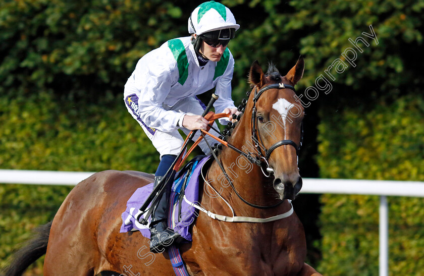 Green-Storm-0001 
 GREEN STORM (Daniel Muscutt)
Kempton 6 Sep 2024 - Pic Steven Cargill / Racingfotos.com