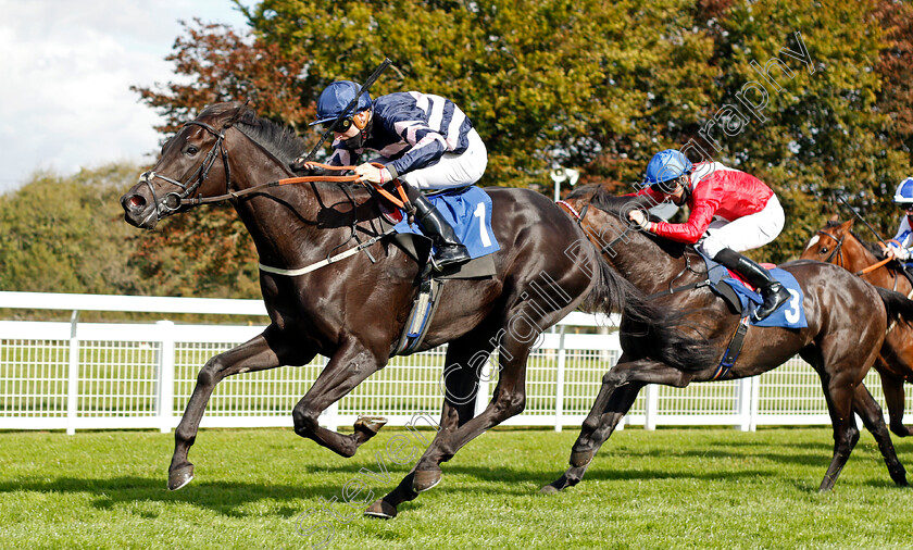 Champagne-Piaff-0002 
 CHAMPAGNE PIAFF (Hector Crouch) wins The Byerley Stud British EBF Novice Stakes Div2
Salisbury 1 Oct 2020 - Pic Steven Cargill / Racingfotos.com