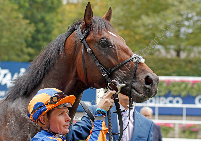 Cherokee-Trail-0008 
 CHEROKEE TRAIL (Kieran O'Neill) after The Italian Tourist Board British EBF Novice Stakes
Ascot 7 Sep 2019 - Pic Steven Cargill / Racingfotos.com