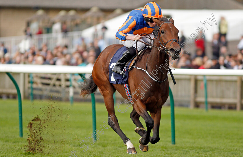 Bye-Bye-Baby-0005 
 BYE BYE BABY (Ryan Moore) wins The Blandford Bloodstock Maiden Fillies Stakes Newmarket 30 Sep 2017 - Pic Steven Cargill / Racingfotos.com