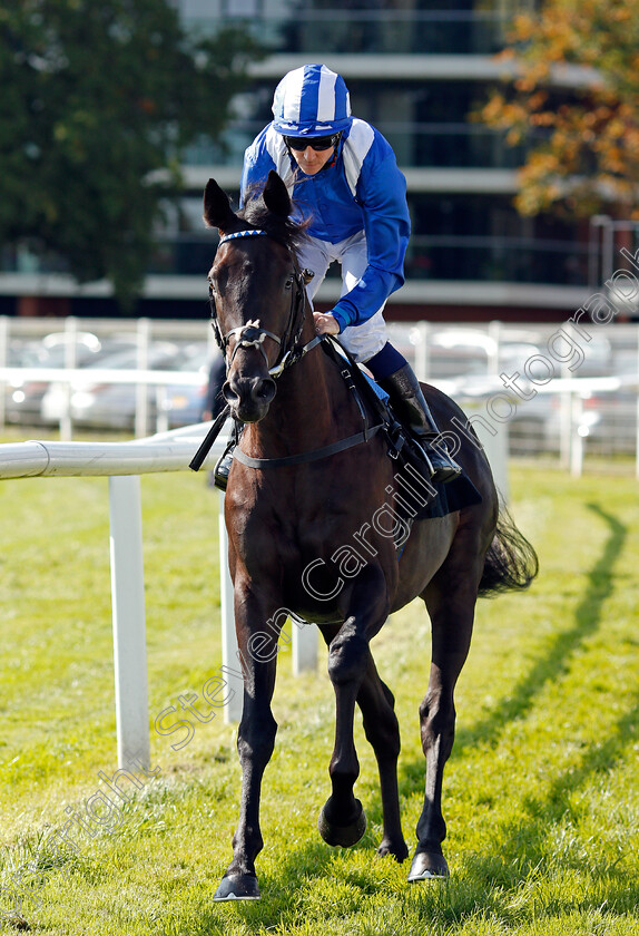 Emaraaty-0002 
 EMARAATY (Jim Crowley) winner of The Wedgewood Estates EBF Novice Stakes Div2 Newbury 23 Sep 2017 - Pic Steven Cargill / Racingfotos.com