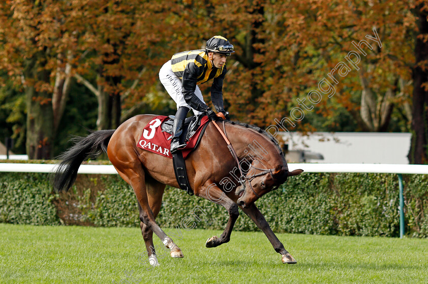 Times-Square-0001 
 TIMES SQUARE (Cristian Demuro)
Longchamp 3 Oct 2021 - Pic Steven Cargill / Racingfotos.com