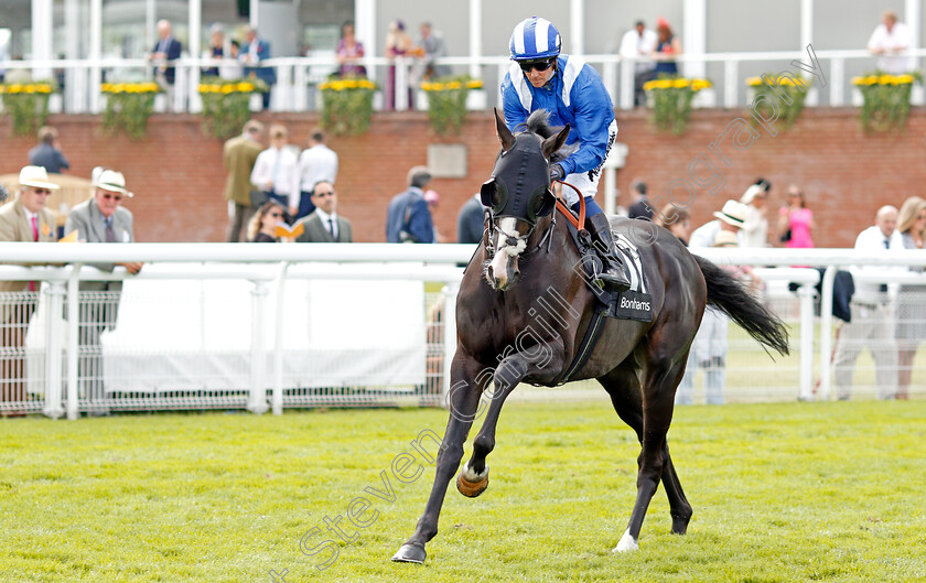 Turjomaan-0001 
 TURJOMAAN (Jim Crowley)
Goodwood 2 Aug 2019 - Pic Steven Cargill / Racingfotos.com