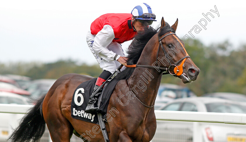 Positive-0002 
 POSITIVE (Adam Kirby) winner of The Betway Solario Stakes
Sandown 31 Aug 2019 - Pic Steven Cargill / Racingfotos.com