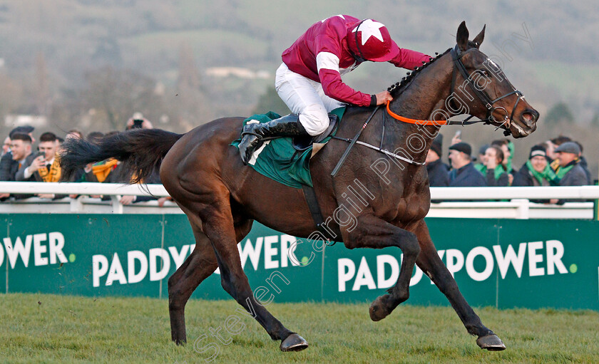 Milan-Native-0005 
 MILAN NATIVE (Robert James) wins The Fulke Walwyn Kim Muir Challenge Cup
Cheltenham 12 Mar 2020 - Pic Steven Cargill / Racingfotos.com