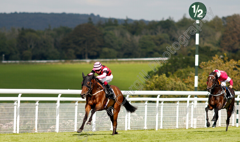 Aggagio-0001 
 AGGAGIO (Oisin Murphy) wins The tote.co.uk Selling Stakes
Goodwood 29 Aug 2021 - Pic Steven Cargill / Racingfotos.com