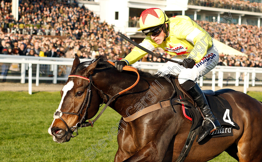 Ibis-Du-Rheu-0003 
 IBIS DU RHEU (Harry Cobden) wins The mallardjewellers.com Novices Chase
Cheltenham 17 Nov 2018 - Pic Steven Cargill / Racingfotos.com