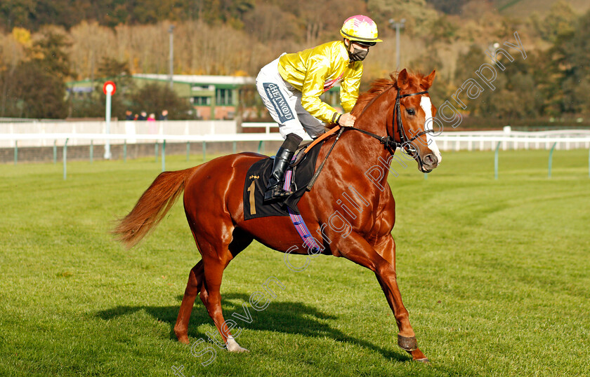 Aussie-Rascal-0001 
 AUSSIE RASCAL (Harry Bentley)
Nottingham 4 Nov 2020 - Pic Steven Cargill / Racingfotos.com