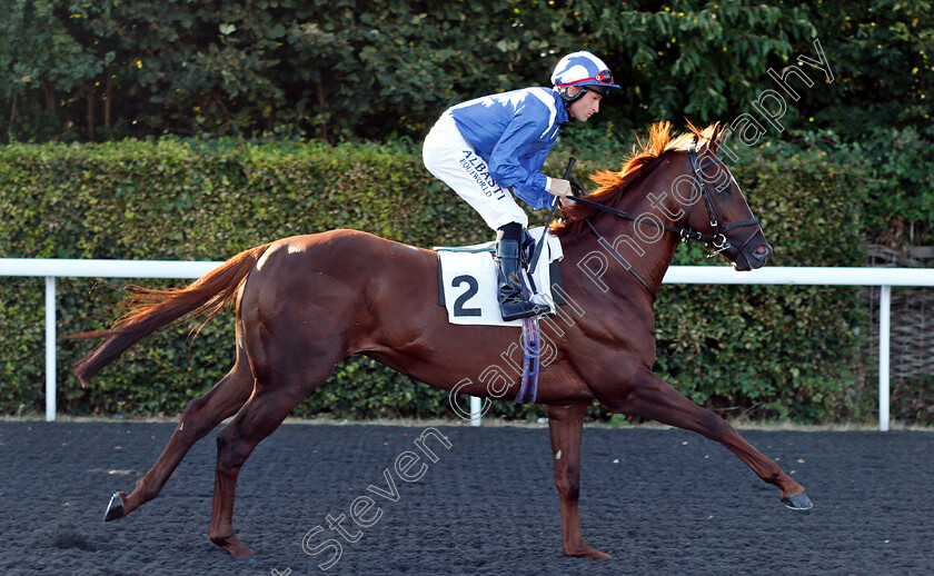 Algaffaal-0001 
 ALGAFFAAL (Dane O'Neill)
Kempton 8 Aug 2018 - Pic Steven Cargill / Racingfotos.com