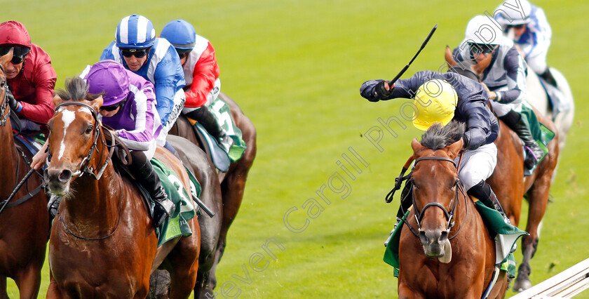 Japan-0007 
 JAPAN (left, Ryan Moore) beats CRYSTAL OCEAN (right) in The Juddmonte International Stakes
York 21 Aug 2019 - Pic Steven Cargill / Racingfotos.com