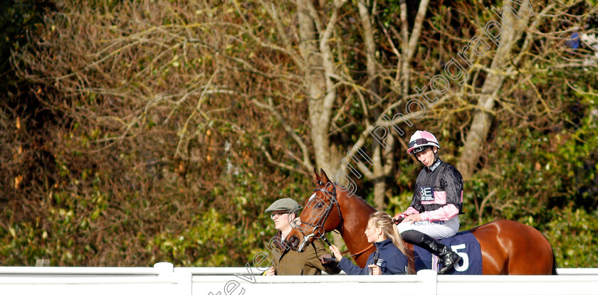 After-Eight-0001 
 AFTER EIGHT (Callum Hutchinson) winner of The Betway Median Auction Maiden Stakes
Lingfield 9 Mar 2022 - Pic Steven Cargill / Racingfotos.com