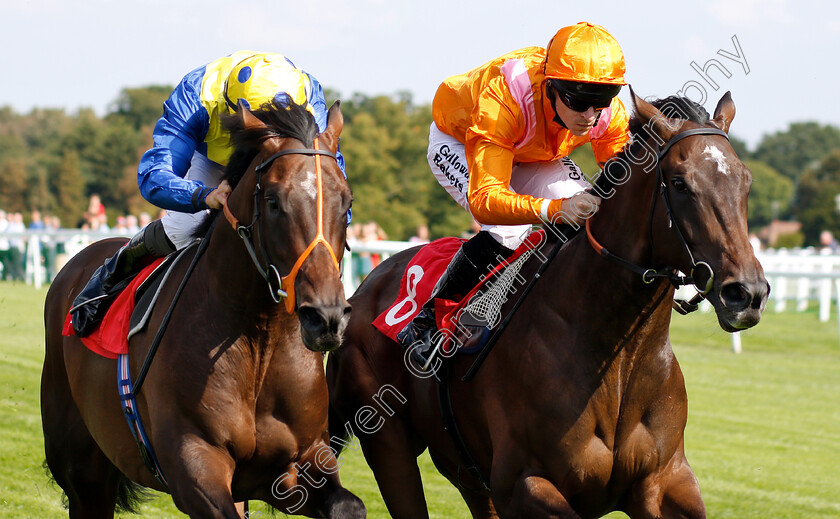 Rajinsky-0007 
 RAJINSKY (right, Tom Dascombe) beats WALKINTHESAND (left) in The Bet & Watch At 188bet.co.uk EBF Maiden Stakes Div1
Sandown 31 Aug 2018 - Pic Steven Cargill / Racingfotos.com