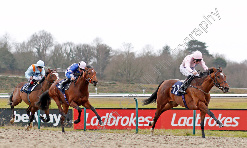 Shimmering-0003 
 SHIMMERING (Robert Havlin) wins The Ladbrokes Home Of The Odds Boost EBF Novice Stakes
Lingfield 18 Dec 2019 - Pic Steven Cargill / Racingfotos.com