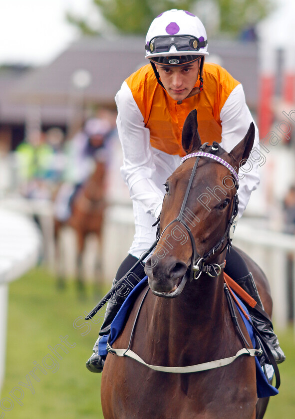 Lethal-Levi 
 LETHAL LEVI (Pierre Louis Jamin)
York 11 Jun 2022 - Pic Steven Cargill / Racingfotos.com