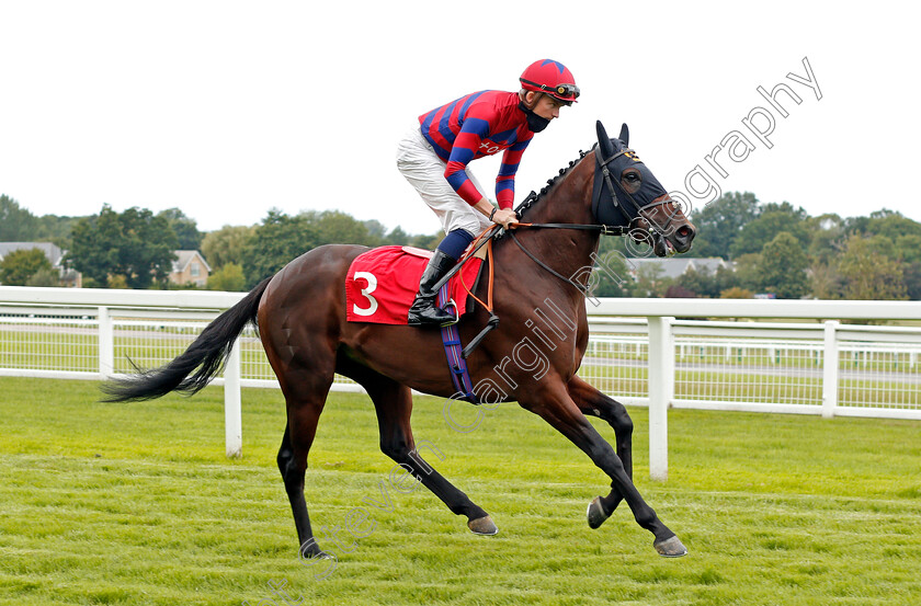 Conquering-Eagle-0001 
 CONQUERING EAGLE (Rob Hornby)
Sandown 23 Aug 2020 - Pic Steven Cargill / Racingfotos.com