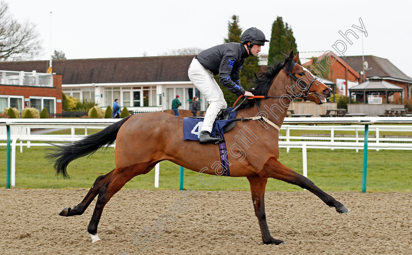 Slavonic-Dance-0001 
 SLAVONIC DANCE (Charlie Bennett)
Lingfield 4 Mar 2020 - Pic Steven Cargill / Racingfotos.com