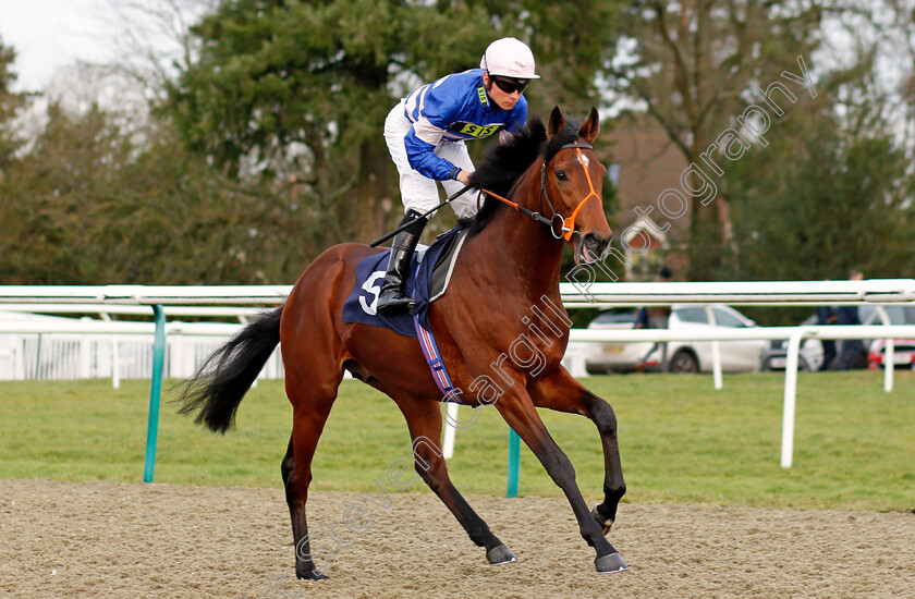 Orczy-0001 
 ORCZY (Jason Watson)
Lingfield 18 Dec 2019 - Pic Steven Cargill / Racingfotos.com