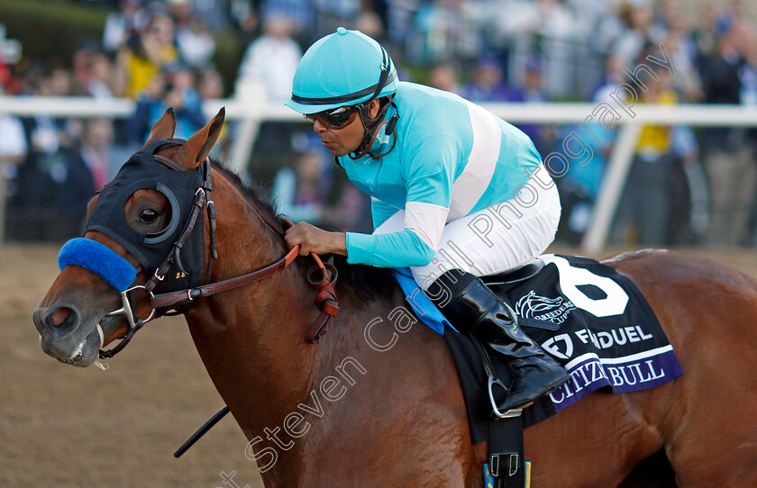 Citizen-Bull-0002 
 CITIZEN BULL (Martin Garcia) wins the Breeders' Cup Juvenile
Del Mar USA 1 Nov 2024 - Pic Steven Cargill / Racingfotos.com