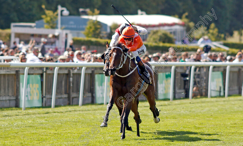 Nizaaka-0002 
 NIZAAKA (David Egan) wins The Arioneo Handicap
Newmarket 8 Jul 2022 - Pic Steven Cargill / Racingfotos.com