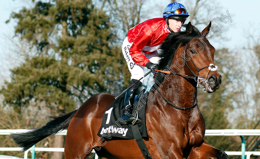 Autocratic-0001 
 AUTOCRATIC (Richard Kingscote) Lingfield 24 Feb 2018 - Pic Steven Cargill / Racingfotos.com