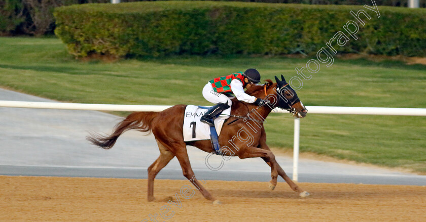 Hayyan-0004 
 HAYYAN (Oscar Chaves) wins The Al Maktoum Challenge (Round 2) for Purebred Arabians
Meydan, Dubai 3 Feb 2023 - Pic Steven Cargill / Racingfotos.com