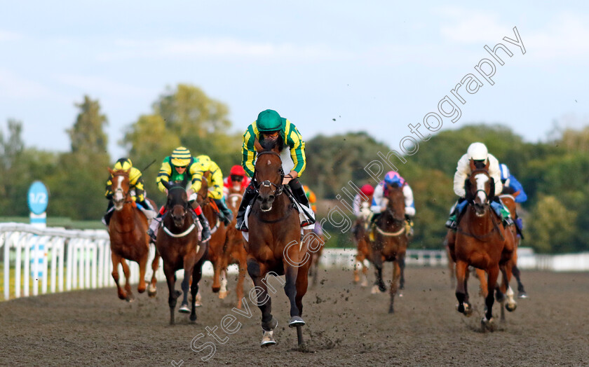 Fairy-Glen-0004 
 FAIRY GLEN (Tom Marquand) wins The Unibet More Extra Place Races Fillies Novice Stakes
Kempton 16 Jul 2024 - Pic Steven Cargill / Racingfotos.com