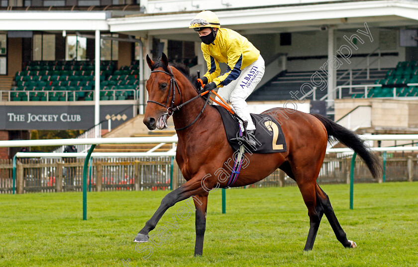 Beowulf-0002 
 BEOWULF (Pat Cosgrave)
Newmarket 21 Oct 2020 - Pic Steven Cargill / Racingfotos.com