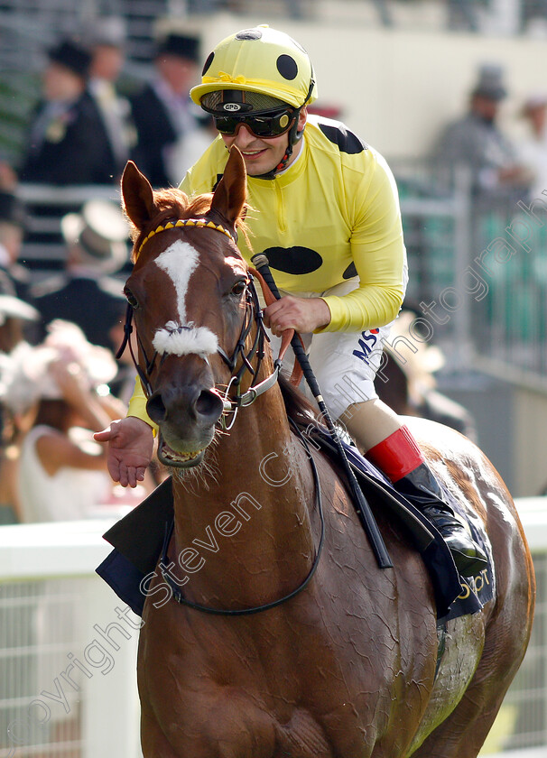 Cape-Byron-0009 
 CAPE BYRON (Andrea Atzeni) after The Wokingham Stakes
Royal Ascot 22 Jun 2019 - Pic Steven Cargill / Racingfotos.com