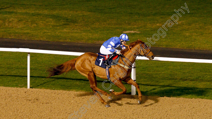 Bollihope-0002 
 BOLLIHOPE (Robert Havlin) wins The Betway Casino Handicap
Wolverhampton 7 Jan 2019 - Pic Steven Cargill / Racingfotos.com