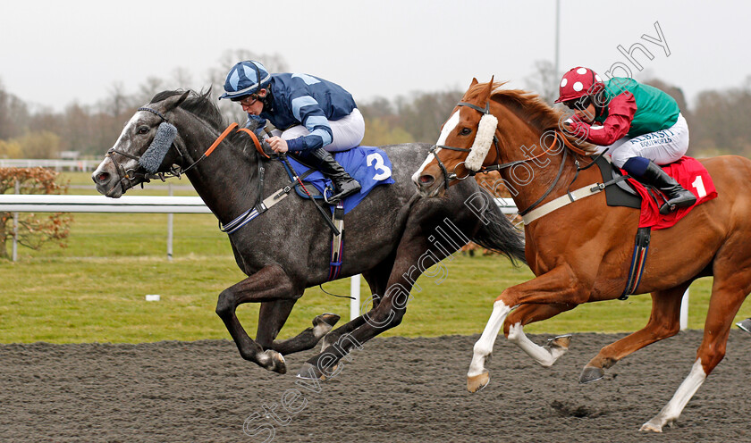 Cinzento-0001 
 CINZENTO (Owen Lewis) beats ARLECCHINO'S ARC (right) in The Bet At Racing TV Classified Stakes 
Kempton 31 Mar 2021 - Pic Steven Cargill / Racingfotos.com