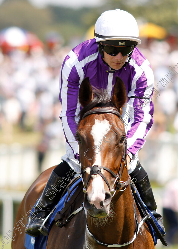 Happily-0002 
 HAPPILY (Wayne Lordan)
Sandown 7 Jul 2018 - Pic Steven Cargill / Racingfotos.com