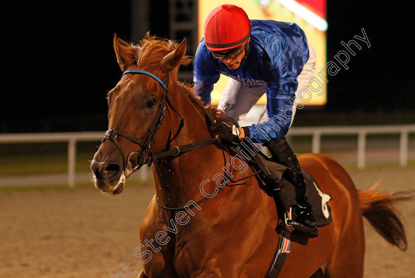 Royal-Mews-0006 
 ROYAL MEWS (James Doyle) wins The tote.co.uk Now Never Beaten By SP Maiden Stakes
Chelmsford 8 Oct 2020 - Pic Steven Cargill / Racingfotos.com