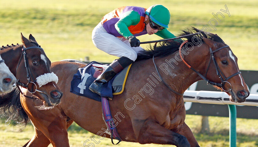 Reeves-0005 
 REEVES (Sean Davis) wins The Bombardier Golden Beer Handicap
Lingfield 10 Jan 2020 - Pic Steven Cargill / Racingfotos.com