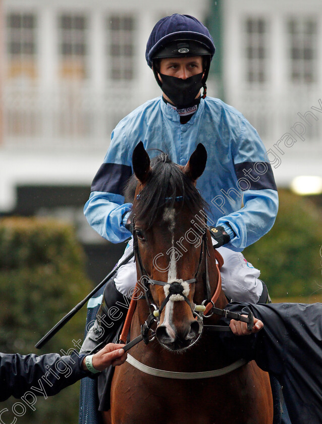 Spycatcher-0003 
 SPYCATCHER (Clifford Lee)
Ascot 28 Apr 2021 - Pic Steven Cargill / Racingfotos.com