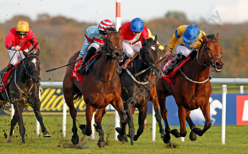 Star-Rock-0005 
 STAR ROCK (right, P J McDonald) beats VINTAGE FOLLY (centre) in The Betfred TV EBF Stallions Breeding Winners Gillies Fillies Stakes Doncaster 11 Nov 2017 - Pic Steven Cargill / Racingfotos.com