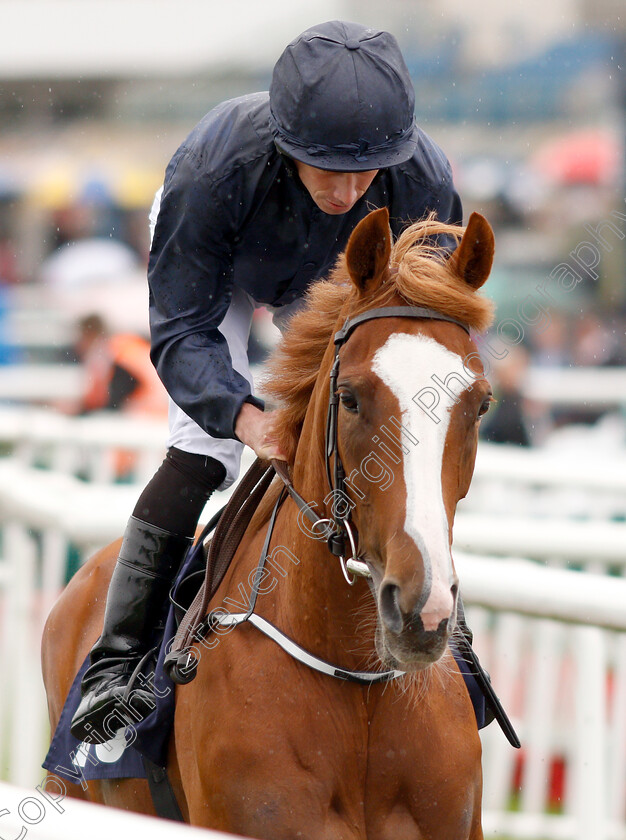 Hence-0001 
 HENCE (Ryan Moore)
Doncaster 14 Sep 2018 - Pic Steven Cargill / Racingfotos.com